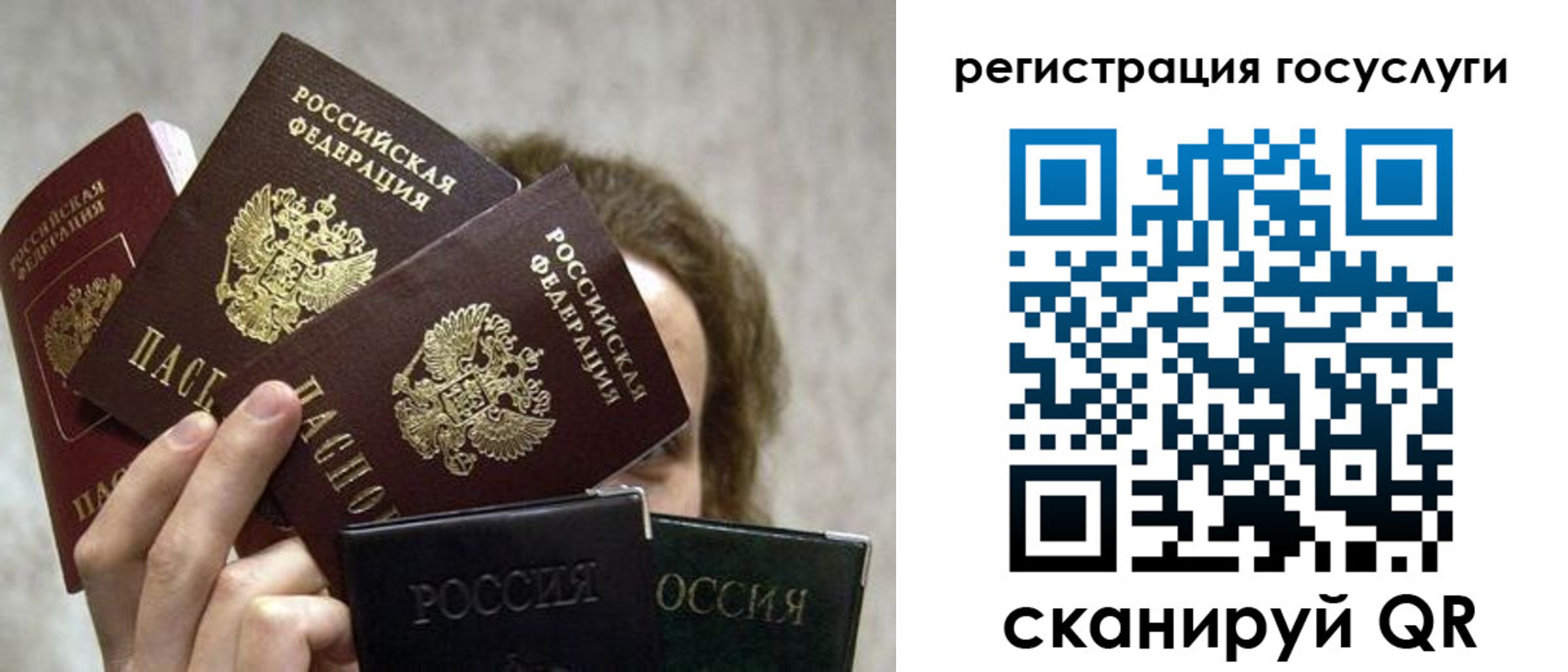 временная регистрация поиск в Пушкино